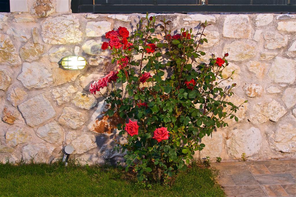 Superb Villa With Private Pool Peaceful Location Sami  Zewnętrze zdjęcie